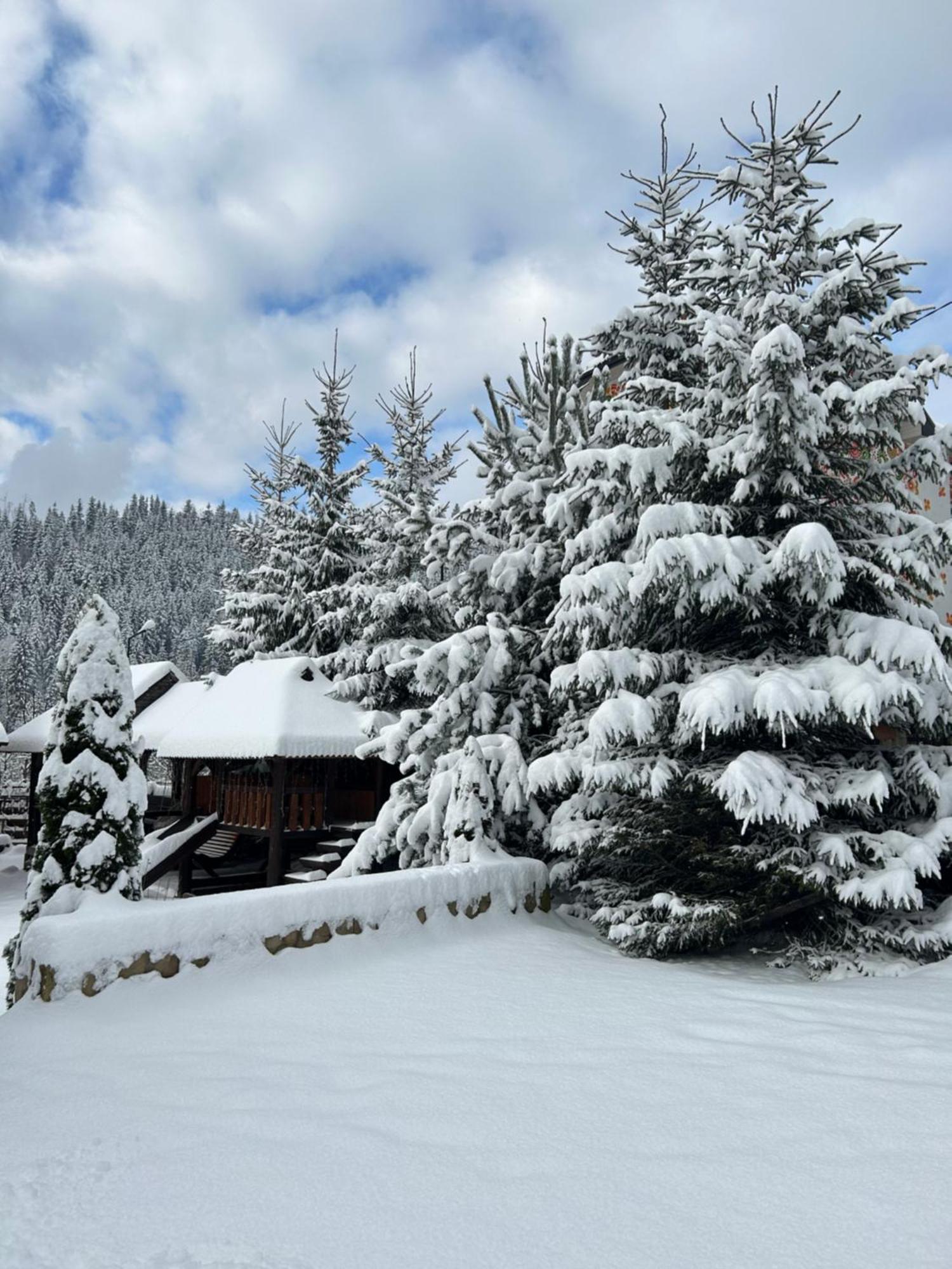 Guest House Kaspiy Bukovel Kültér fotó