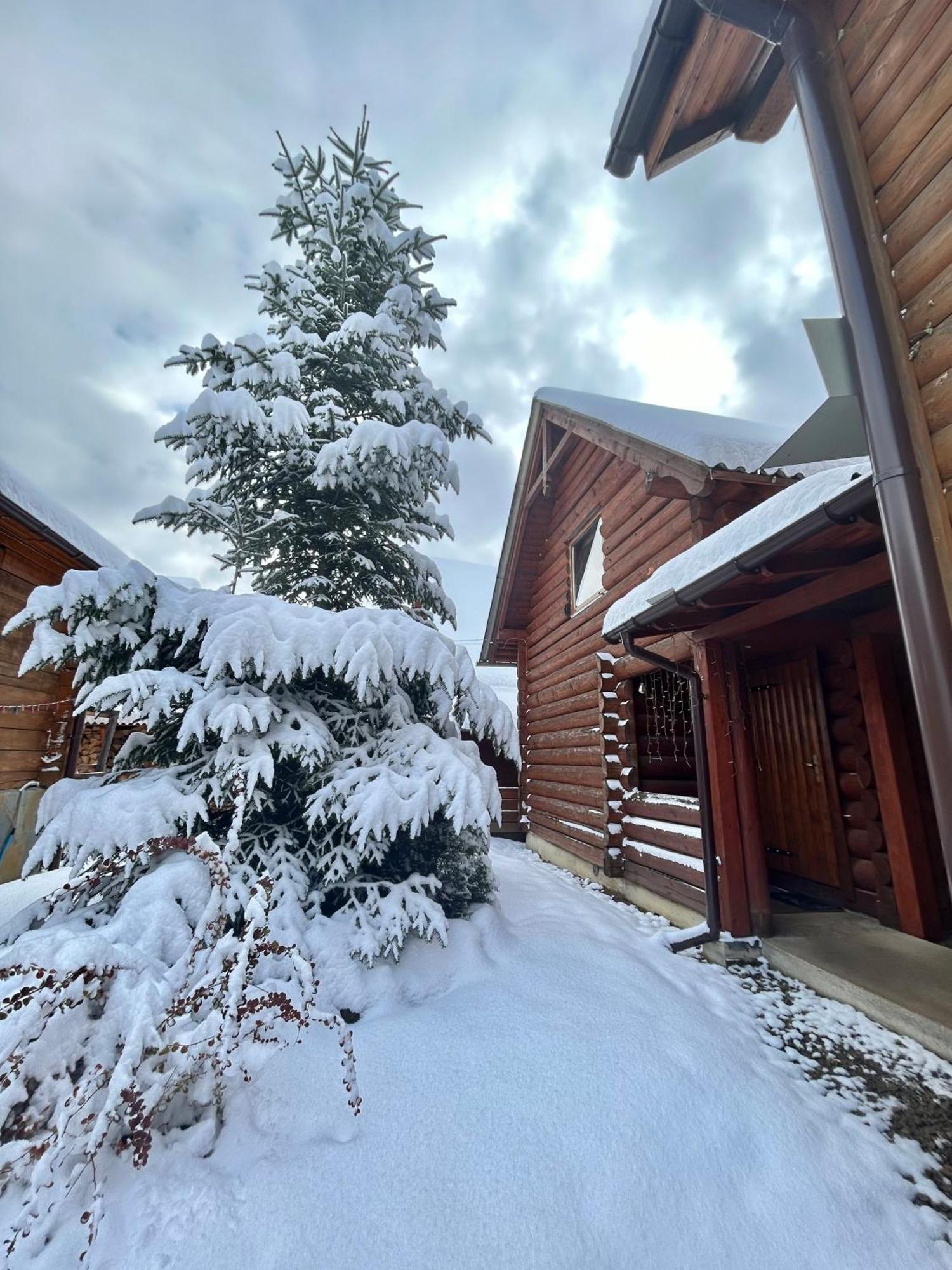 Guest House Kaspiy Bukovel Kültér fotó