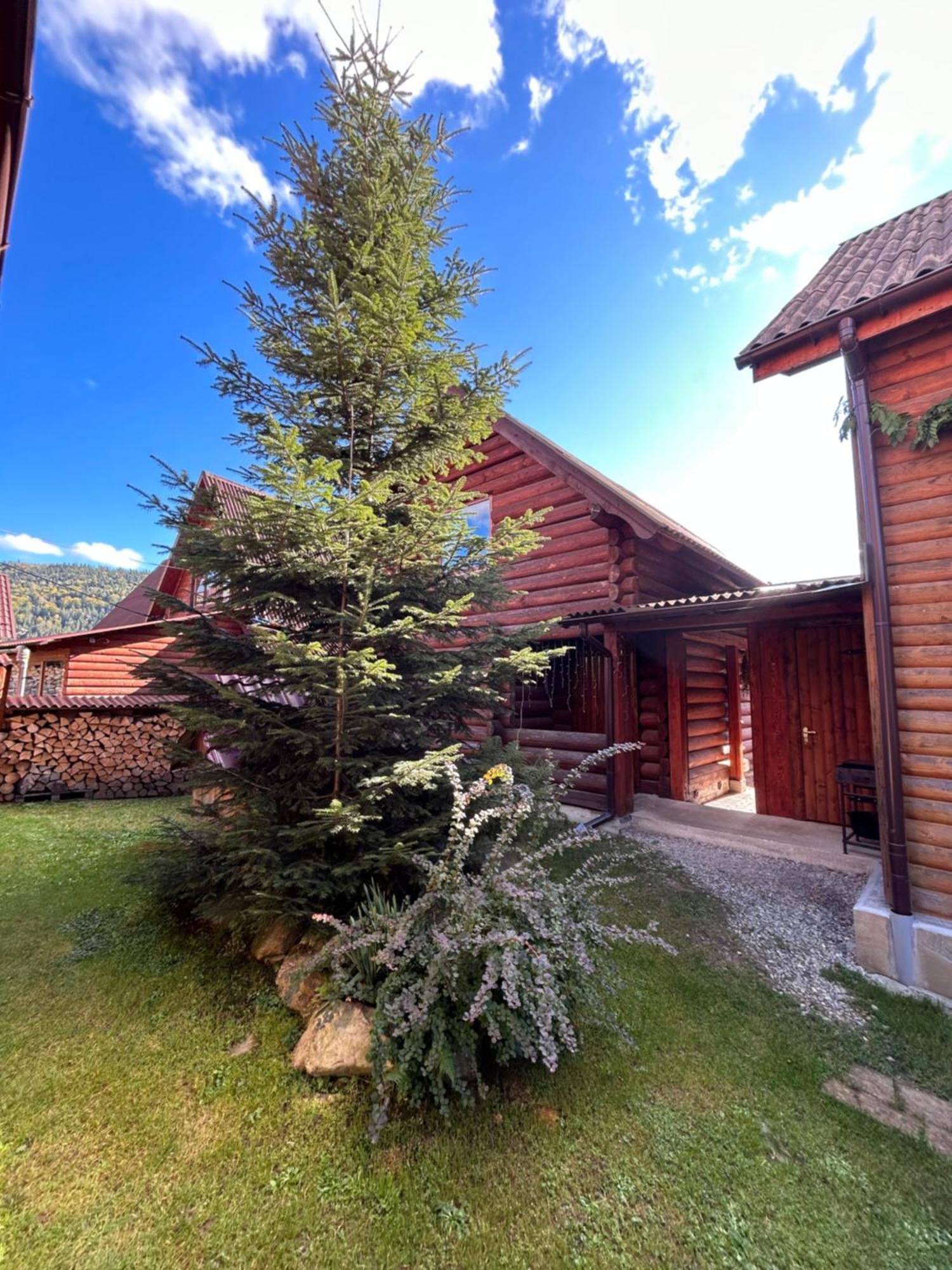 Guest House Kaspiy Bukovel Kültér fotó